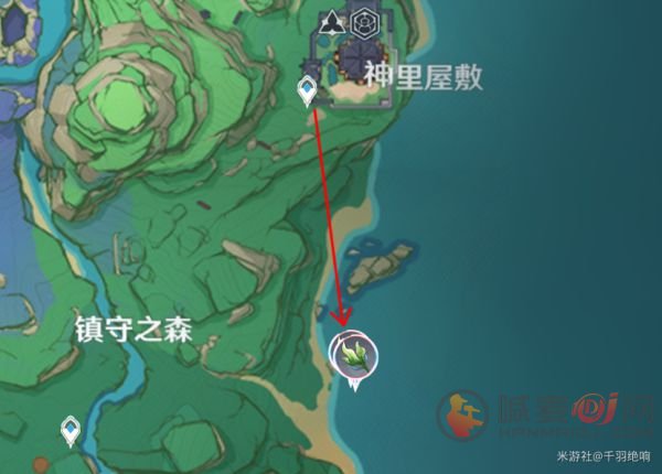 原神海草在哪里采 原神海草最全采集路线和位置一览