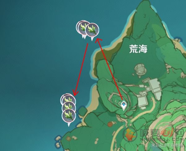 原神海草在哪里采 原神海草最全采集路线和位置一览