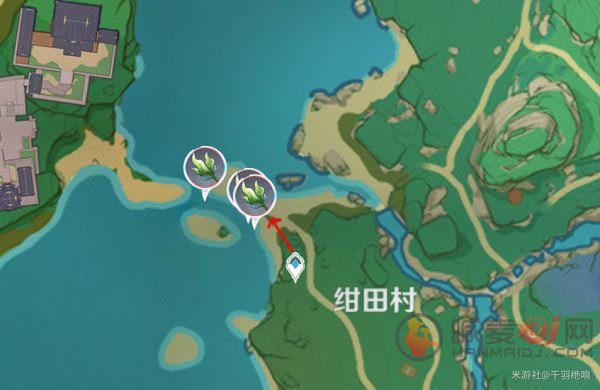 原神海草在哪里采 原神海草最全采集路线和位置一览