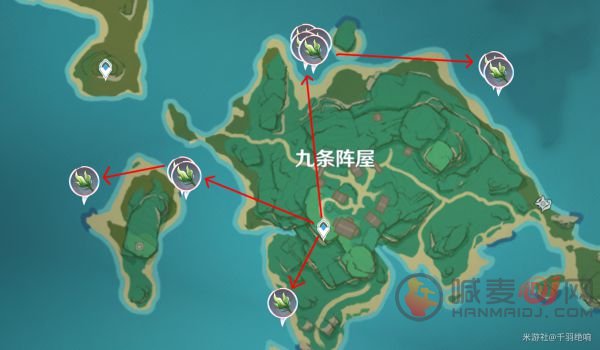 原神海草在哪里采 原神海草最全采集路线和位置一览