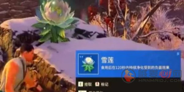 永劫无间手游雪莲刷新点在哪里 永劫无间手游雪莲位置介绍