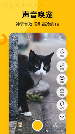 爪叽宠物相机功能介绍