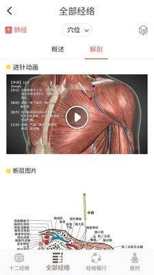 经络穴位3D截图