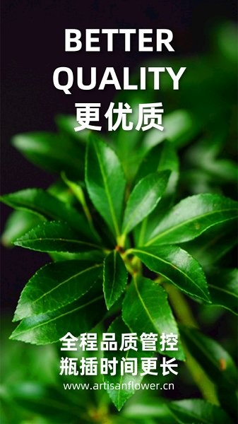 匠人花材