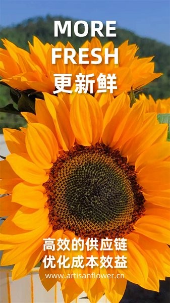 匠人花材