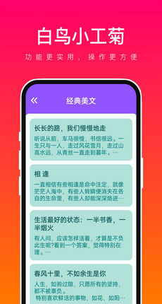 白鸟小工菊截图