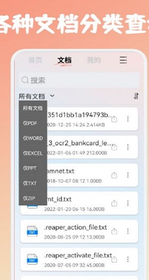 PDF文件转格式
