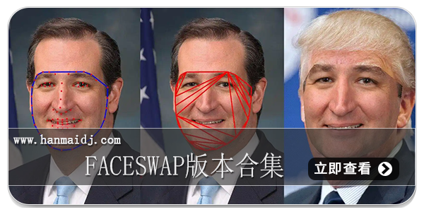 faceswap版本合集