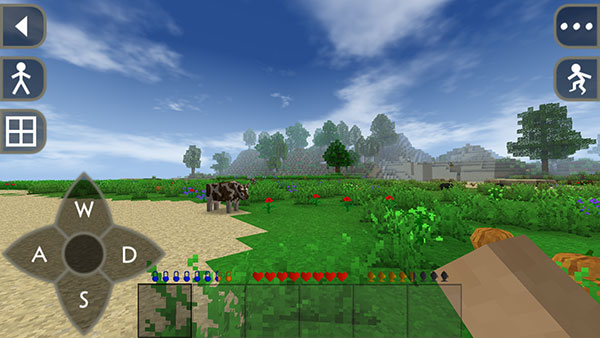 Survivalcraft2