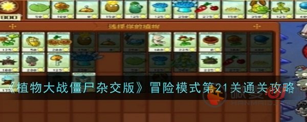 植物大战僵尸杂交版21关怎么过 植物大战僵尸杂交版21关通关攻略