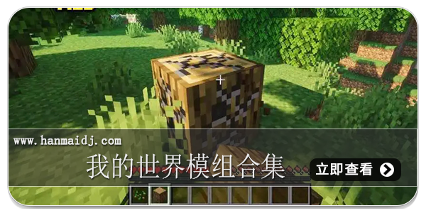 我的世界模组合集