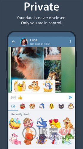 telegram正式版截图