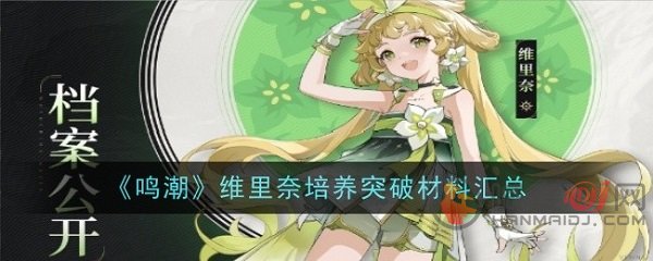 鸣潮维里奈突破材料是什么 鸣潮维里奈突破材料一览