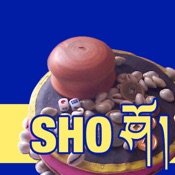 sho藏式游戏