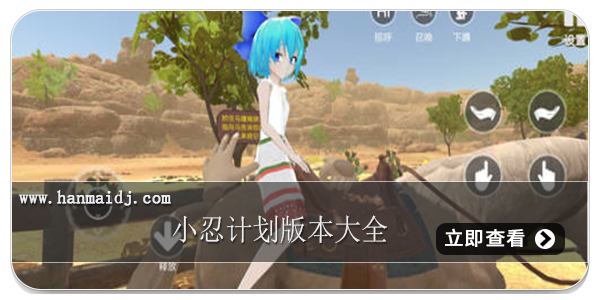 小忍计划版本大全