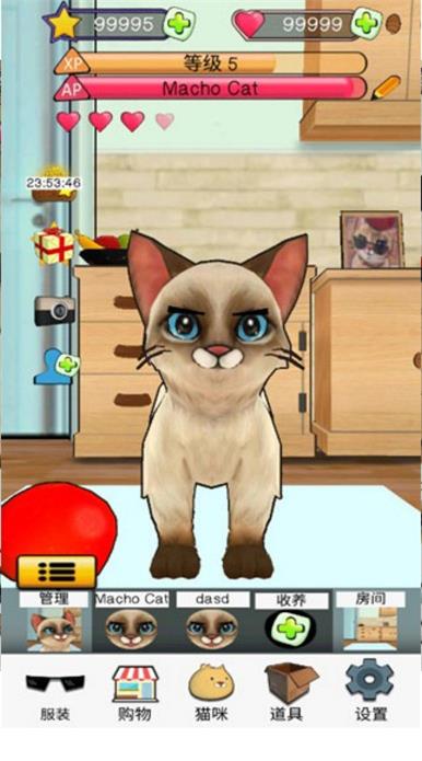 狂刷猫咪