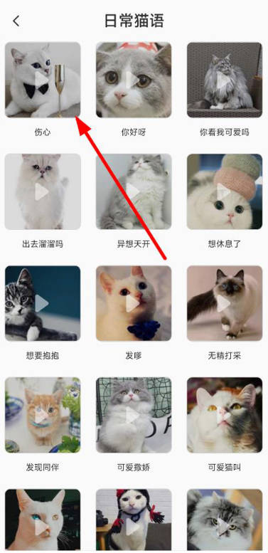 猫语翻译机翻译方法