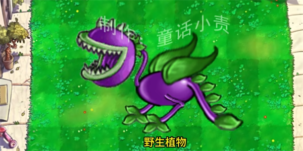 植物大战僵尸结合版玩法教程