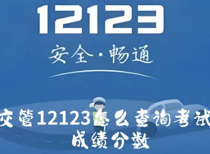 交管12123怎么查询考试成绩分数 交管12123查询考试成绩方法