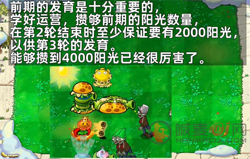 pvz杂交版随机盲盒前期攻略