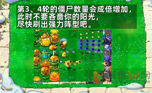 pvz杂交版随机盲盒前期攻略