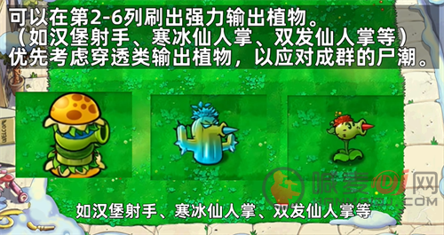 pvz杂交版随机盲盒前期攻略