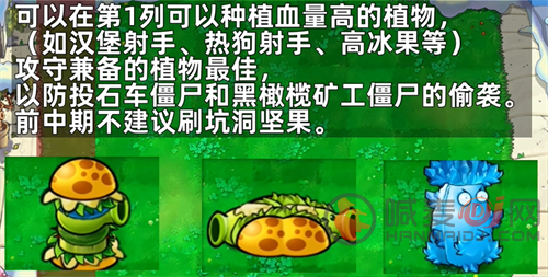 pvz杂交版随机盲盒前期攻略