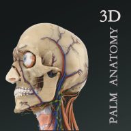 掌上3D解剖免费版