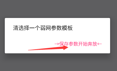 金砖弱网辅助器使用教程