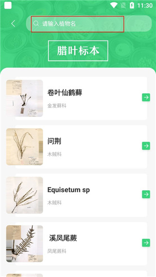 照药镜认药app使用教程