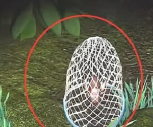 夺笋高手七彩朱砂蟋蟀获取方法攻略