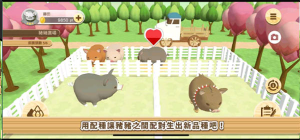 养猪场3D