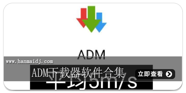 ADM下载器