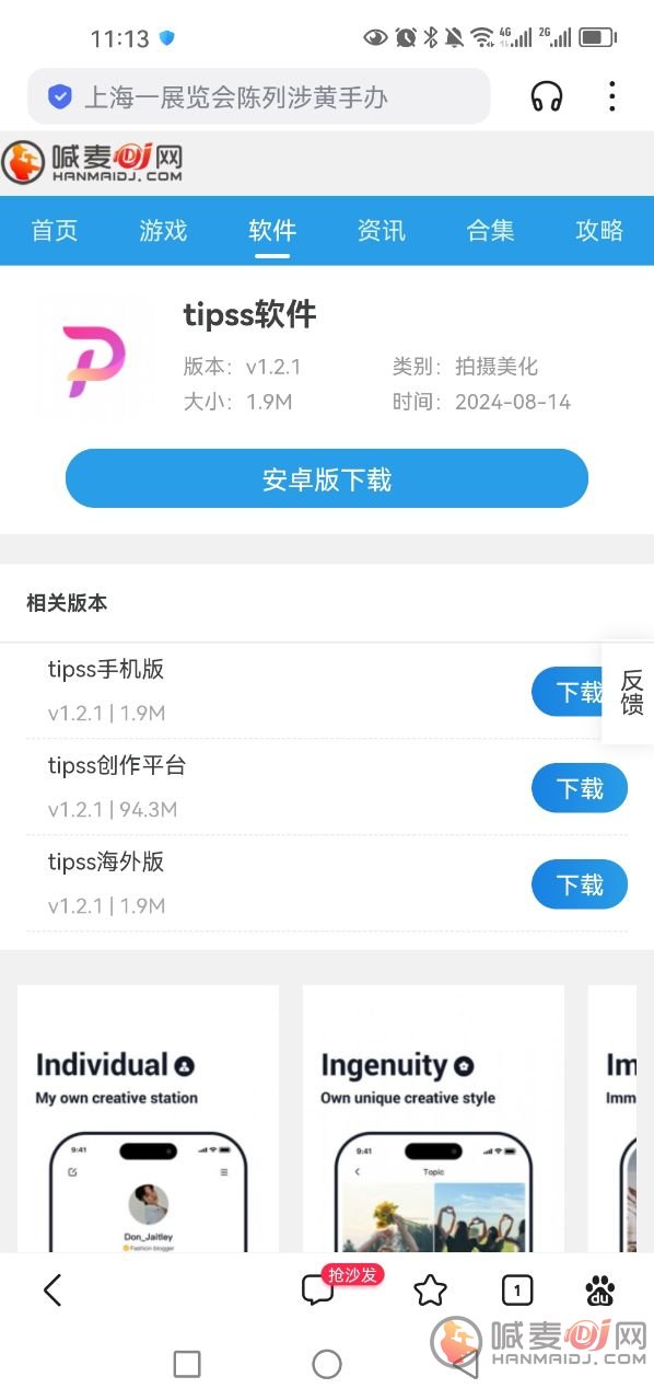 TIPSS软件下载与安装步骤