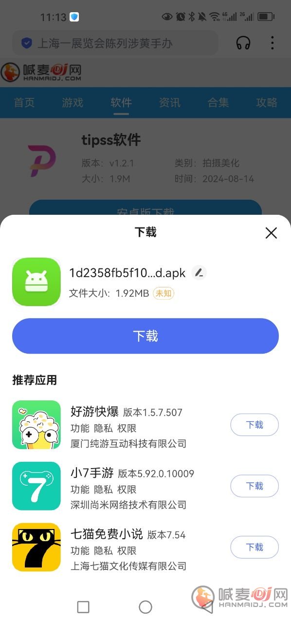 TIPSS软件下载与安装步骤