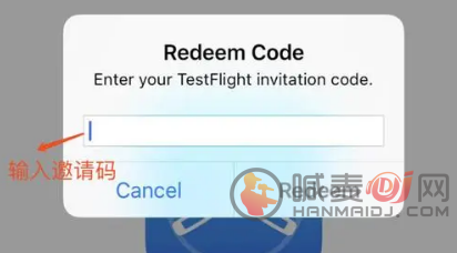 testflight邀请码2024最新 2024苹果testflight激活码大全以及使用方法