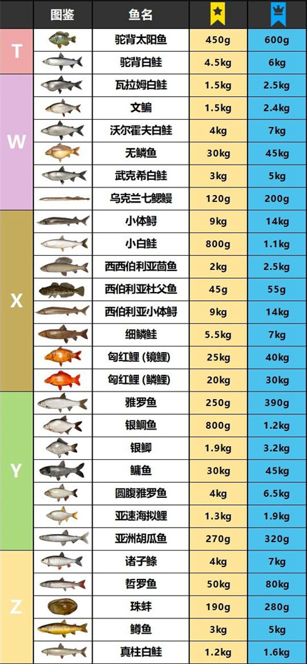 俄钓4上星重量图表