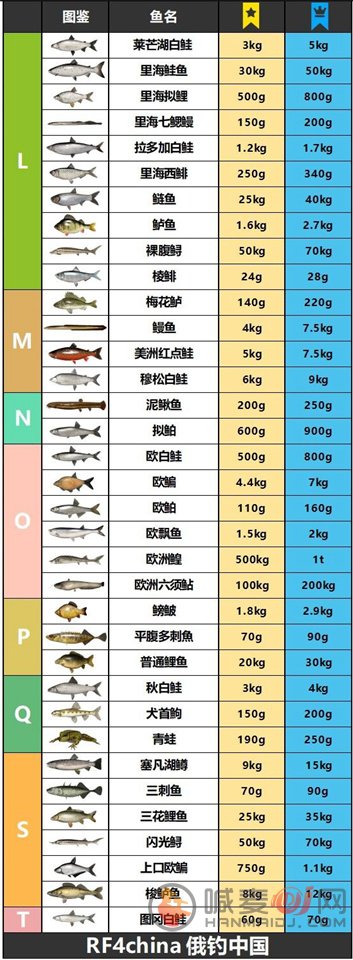 俄钓4上星重量图表 俄罗斯钓鱼4鱼类重量图鉴大全