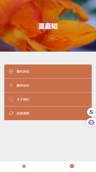 夏喜知