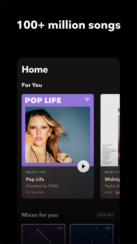 tidal音乐截图