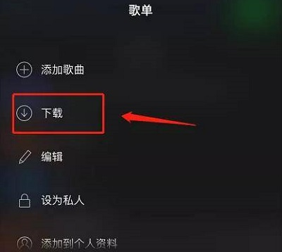 声破天spotify怎么下载歌曲