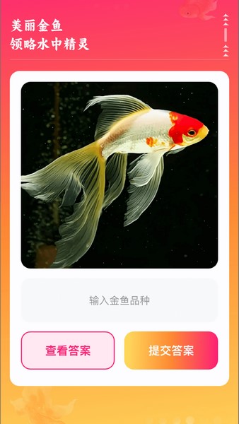 金鱼点点截图