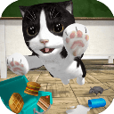 catsimulator猫咪模拟器