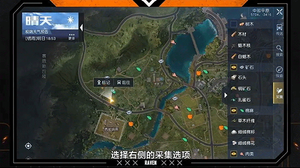 黎明觉醒生机