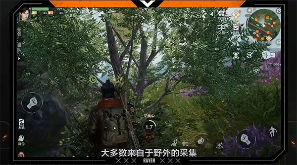 黎明觉醒生机