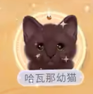 我和我的猫