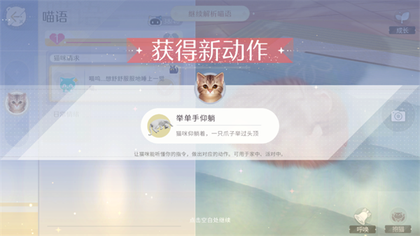 我和我的猫