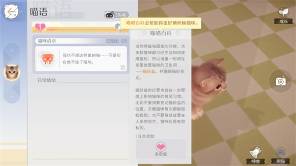 我和我的猫
