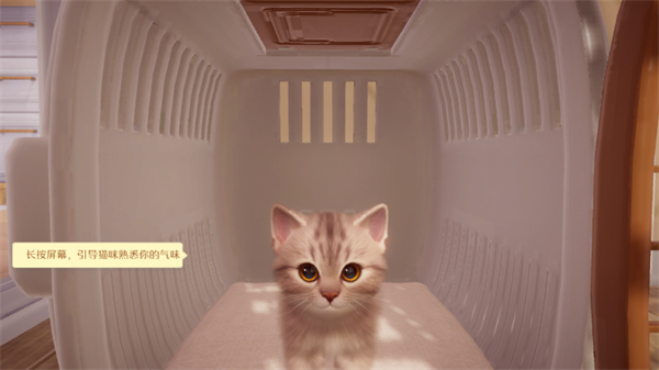 我和我的猫
