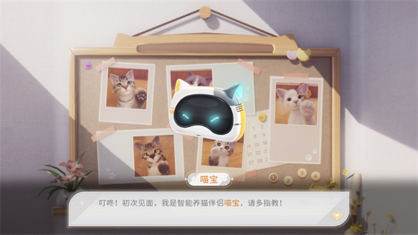 我和我的猫